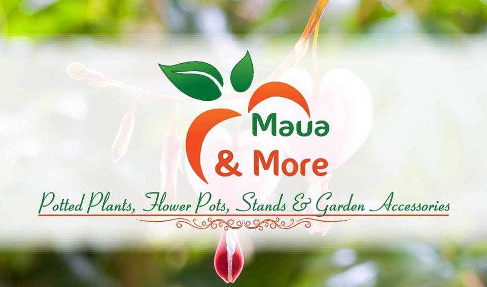Maua and More Kensington Shopping Boulevard, Kensington Luxury Heights Kyanja, Kampala, Uganda, Gardeners, Gardens, Kampala Uganda Gardening and Landscaping, Home Decor, Interior & Exterior Design, Herbs, Flowers, Flower Pots Kampala Uganda, Ugabox
